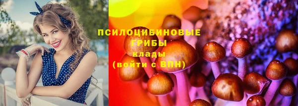 мяу мяу кристалл Дмитровск