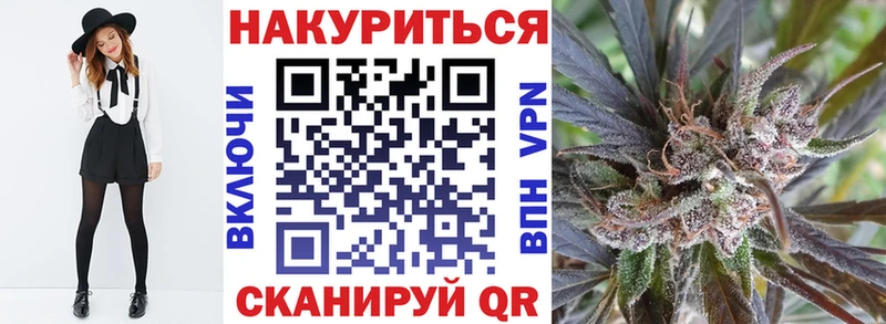 Купить где  Каменногорск  Бошки марихуана план 